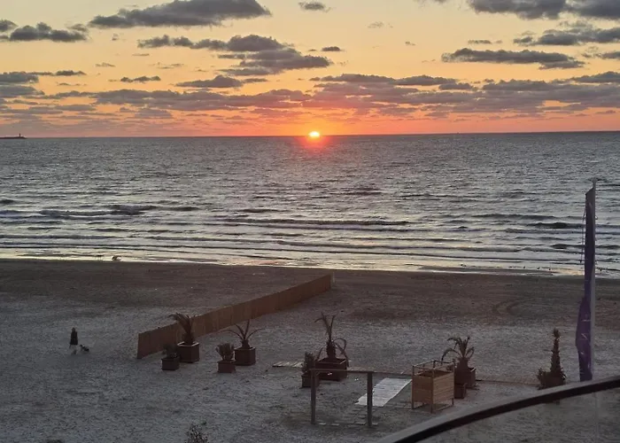 Sunrise Seaview Grand Terrace Διαμέρισμα Năvodari