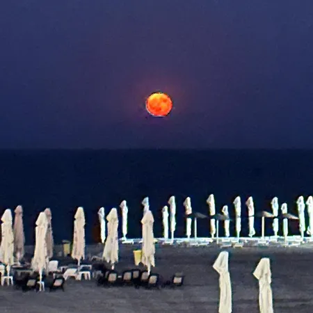 Sunrise Seaview Grand Terrace דירה *