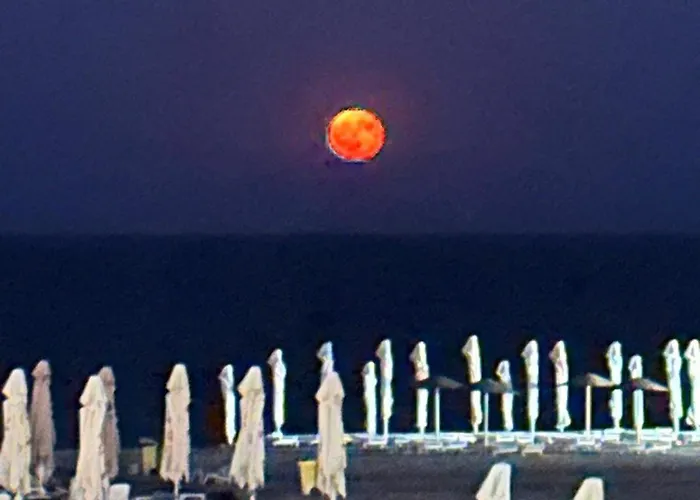 Sunrise Seaview Grand Terrace Apartament *